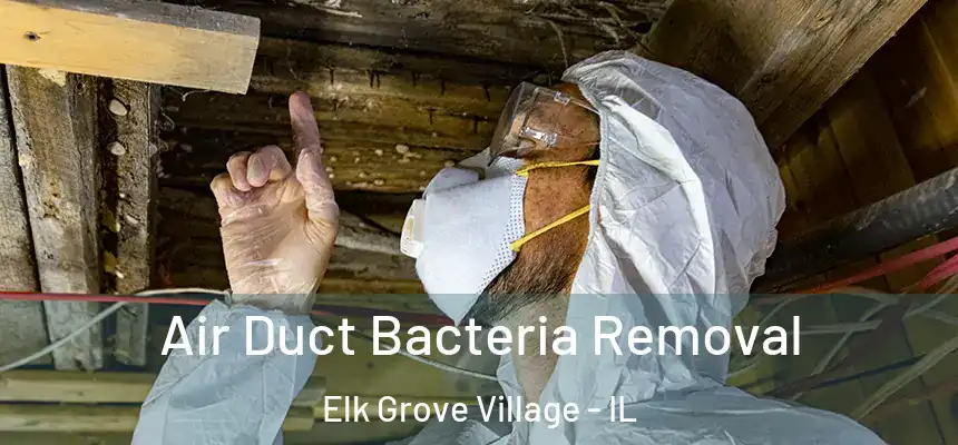 Air Duct Bacteria Removal Elk Grove Village - IL