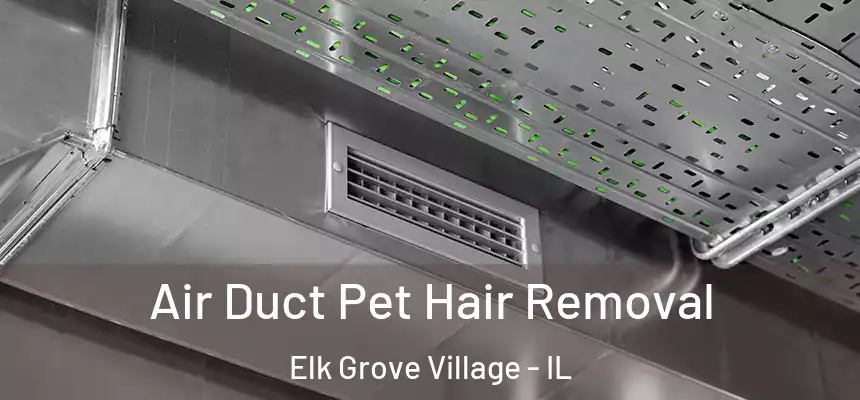  Air Duct Pet Hair Removal Elk Grove Village - IL