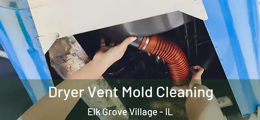 Dryer Vent Mold Cleaning Elk Grove Village - IL
