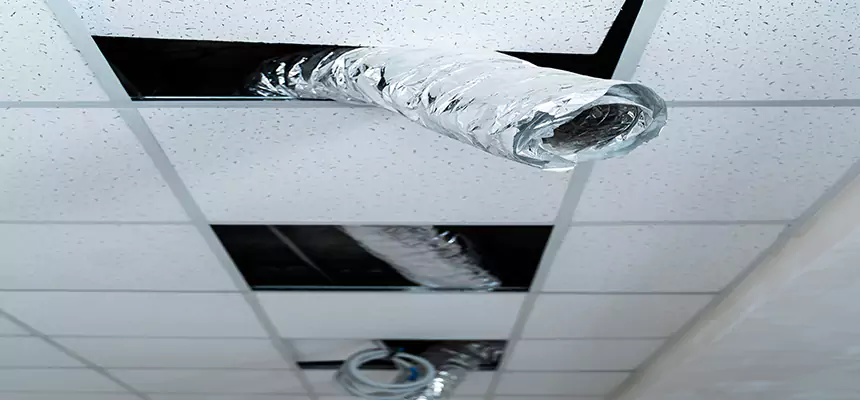 Our Air Duct Pet Hair Removal Services in Elk Grove Village, IL