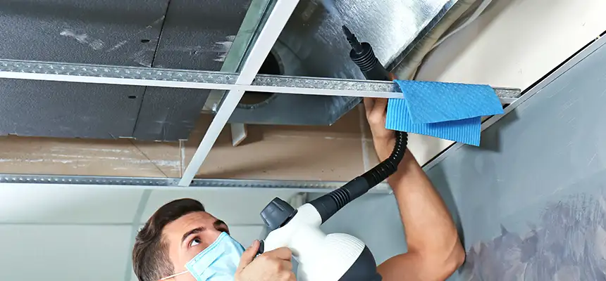Our Air Duct Rodent Removal Services in Elk Grove Village, IL