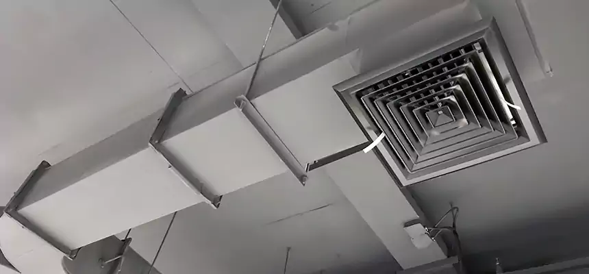 Restorative Allergy Relief Vent Cleaning – Coil, Blower & Housing Detail in Elk Grove Village