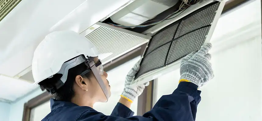 Our Lint Trap Cleaning Service Services in Elk Grove Village, IL