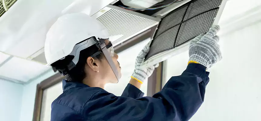 Our Mold & Mildew Removal from Air Ducts Services in Elk Grove Village, IL