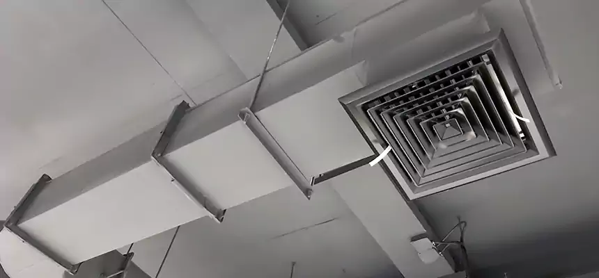 Our Pest Removal From Ducts Services in Elk Grove Village, IL