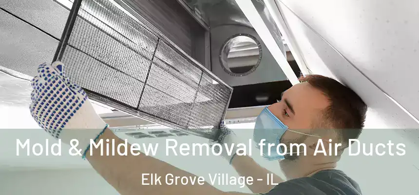Mold & Mildew Removal from Air Ducts Elk Grove Village - IL