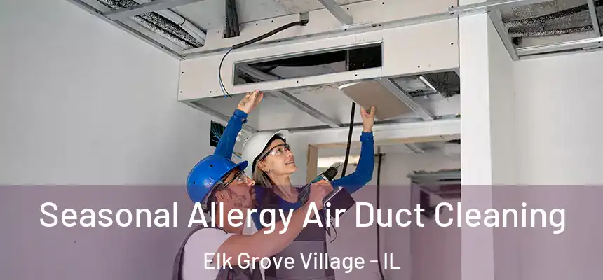  Seasonal Allergy Air Duct Cleaning Elk Grove Village - IL