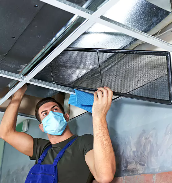 Professional Air Duct Pollen Cleaning in Elk Grove Village, IL