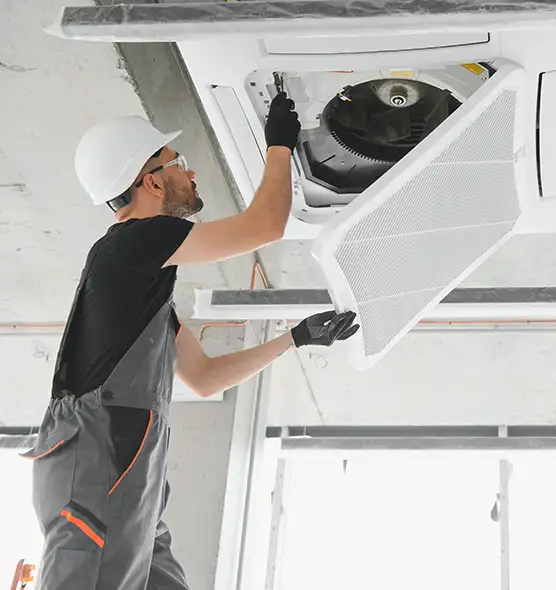 About Air Duct Rodent Removal in Elk Grove Village, IL