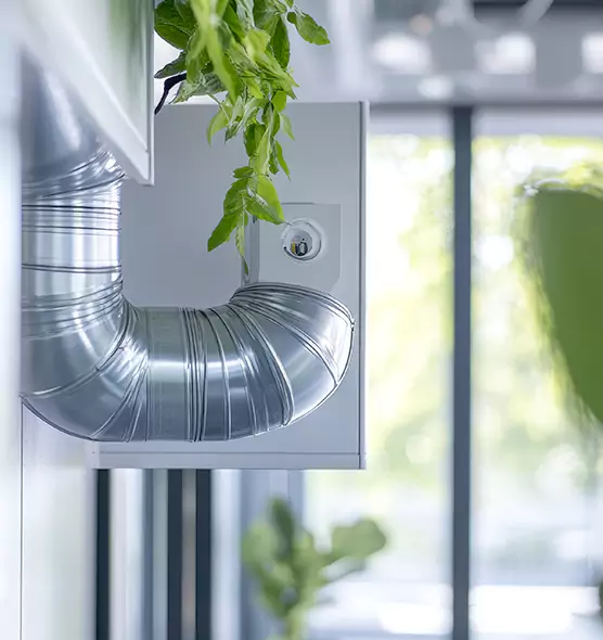 Professional Eco-Friendly Duct Cleaning Services in Elk Grove Village, IL