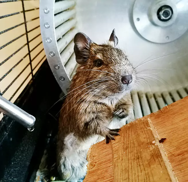 Why Homeowners & Businesses Trust Us Elk Grove Village, IL