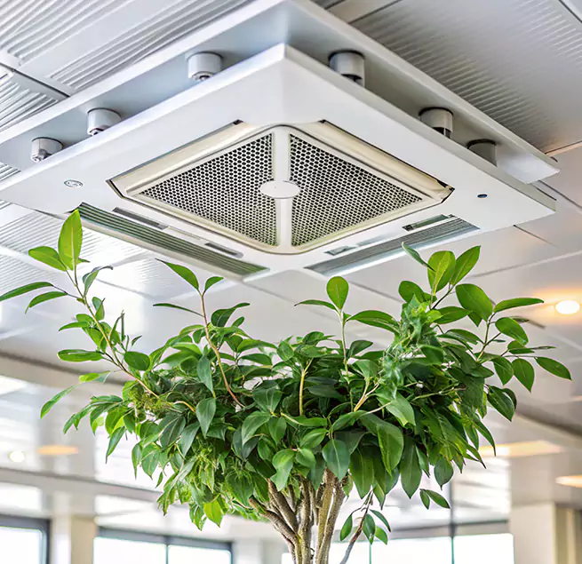 Why Homeowners & Businesses Trust Us in Elk Grove Village, IL