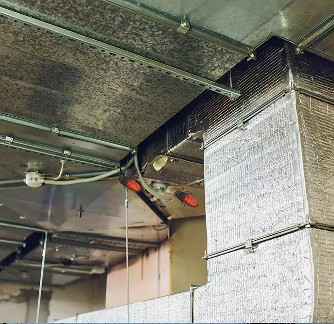 Why Homeowners & Businesses Trust Us Elk Grove Village, IL?