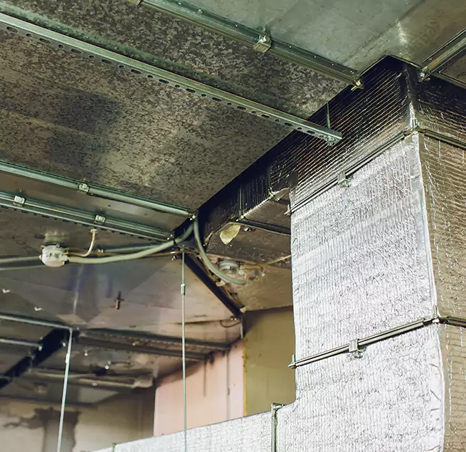 Why Homeowners & Businesses Trust Us in Elk Grove Village, IL?