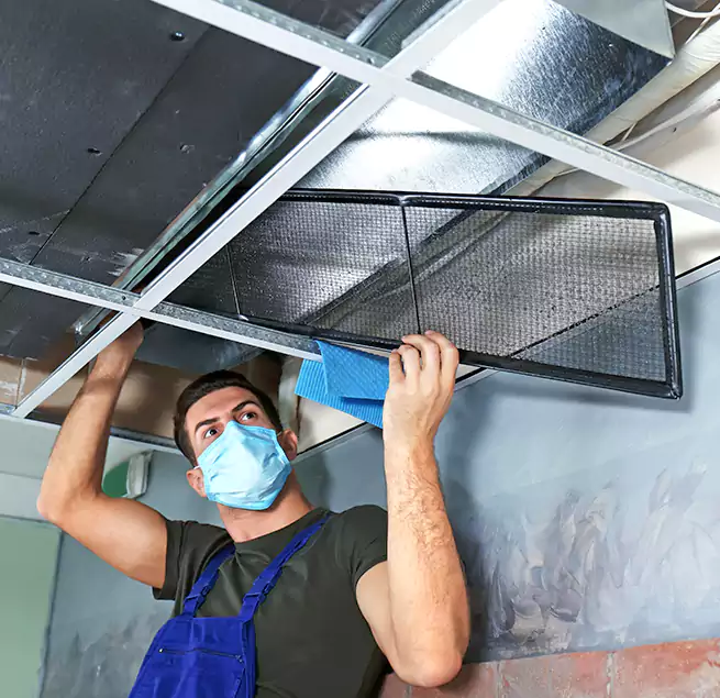 Why Homeowners Businesses Trust Us in Elk Grove Village, IL